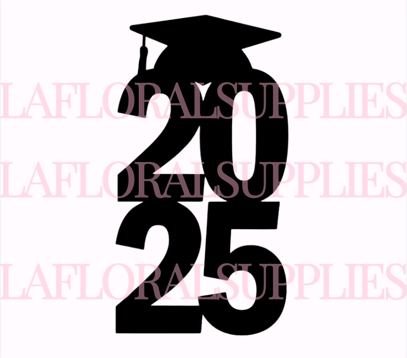 Graduation Cap 2025