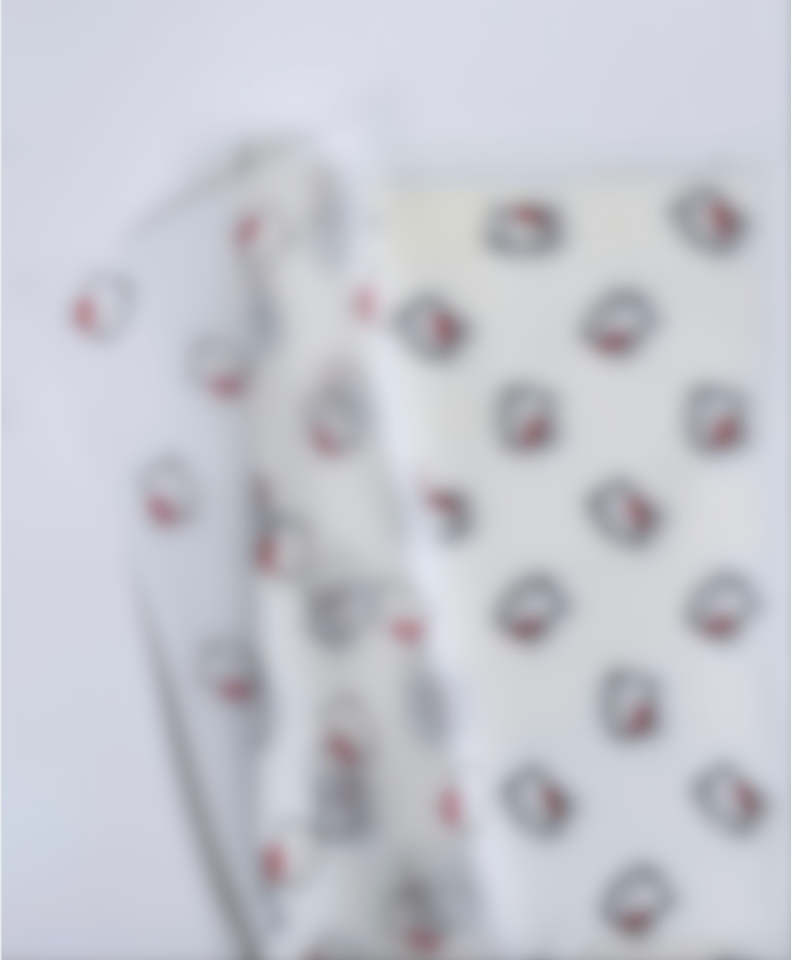 HK Red Bow White Frosted Floral Paper