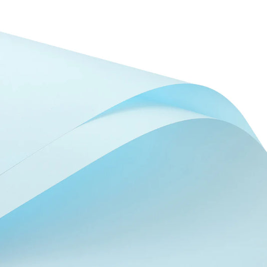 Solid Baby Blue Floral Paper