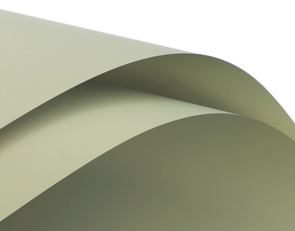 Solid Light Green Floral Paper