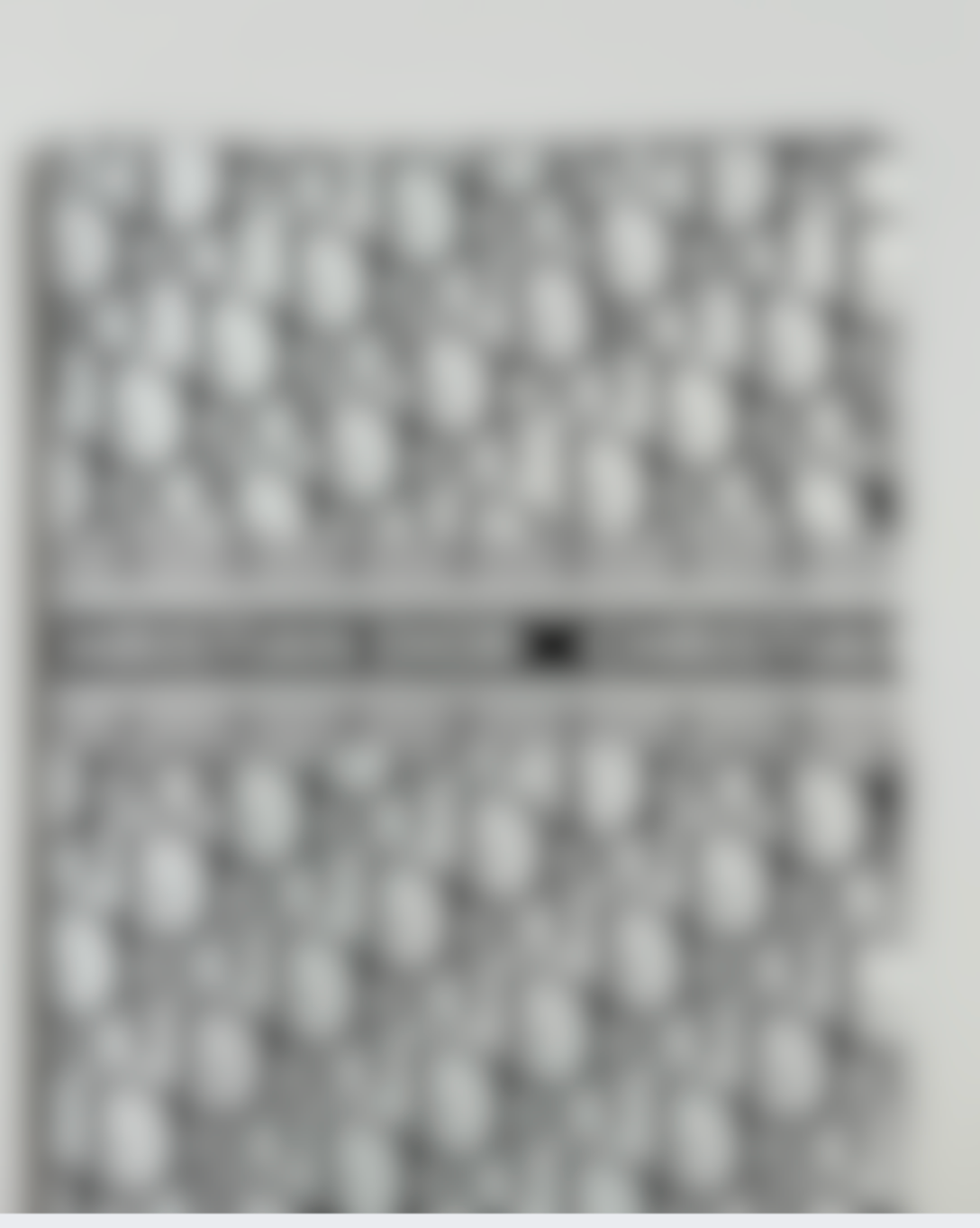 White & Black CD Luxury Floral Paper