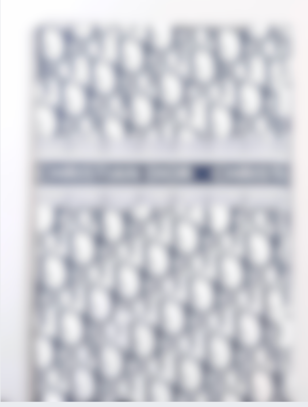 White & Navy Blue CD Luxury Floral Paper